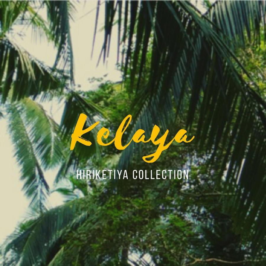 Hotel Kelaya At Hiriketiya Collection Dikwella Exterior foto