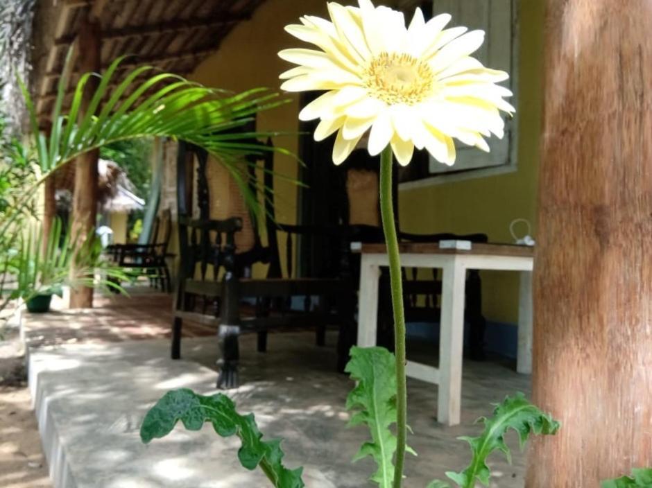 Hotel Kelaya At Hiriketiya Collection Dikwella Exterior foto
